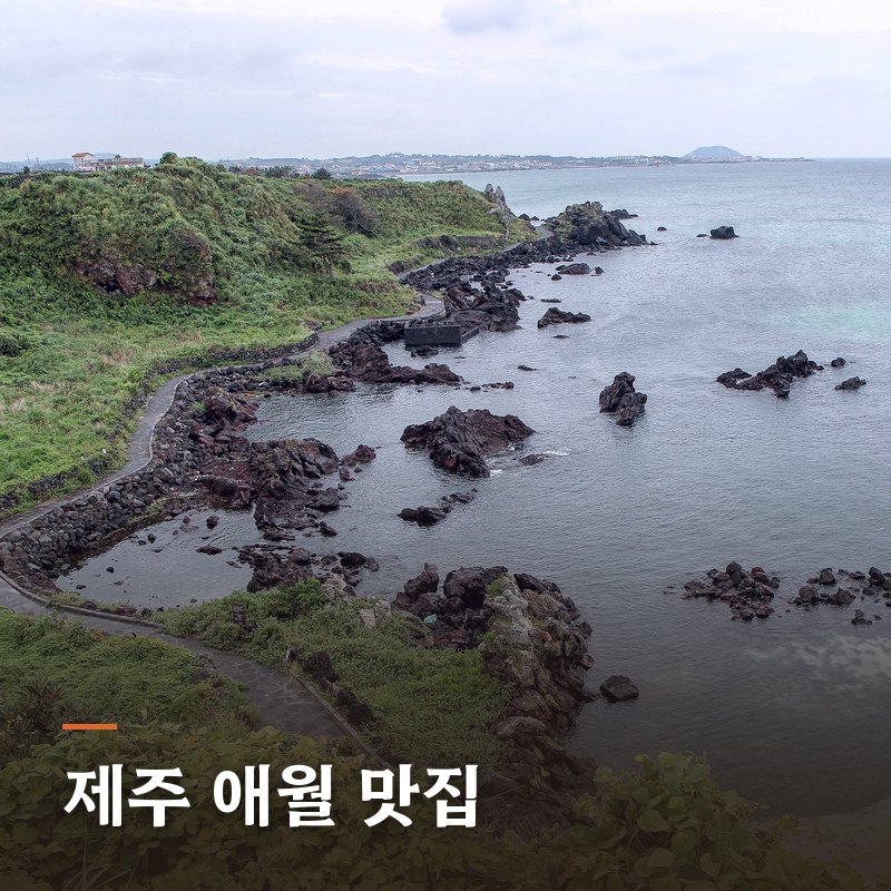 제주 애월 맛집