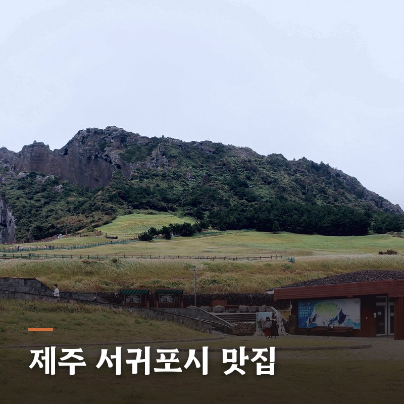 제주 서귀포시 맛집